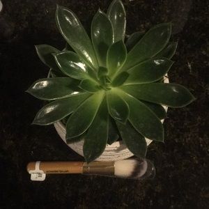 Icing | Powder Brush